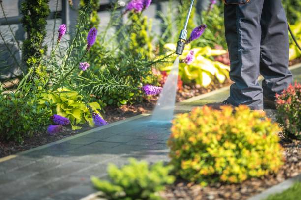 Best Restaurant Pressure Washing  in Wolf Point, MT